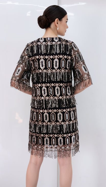 Zara Fringe Sequin Dress