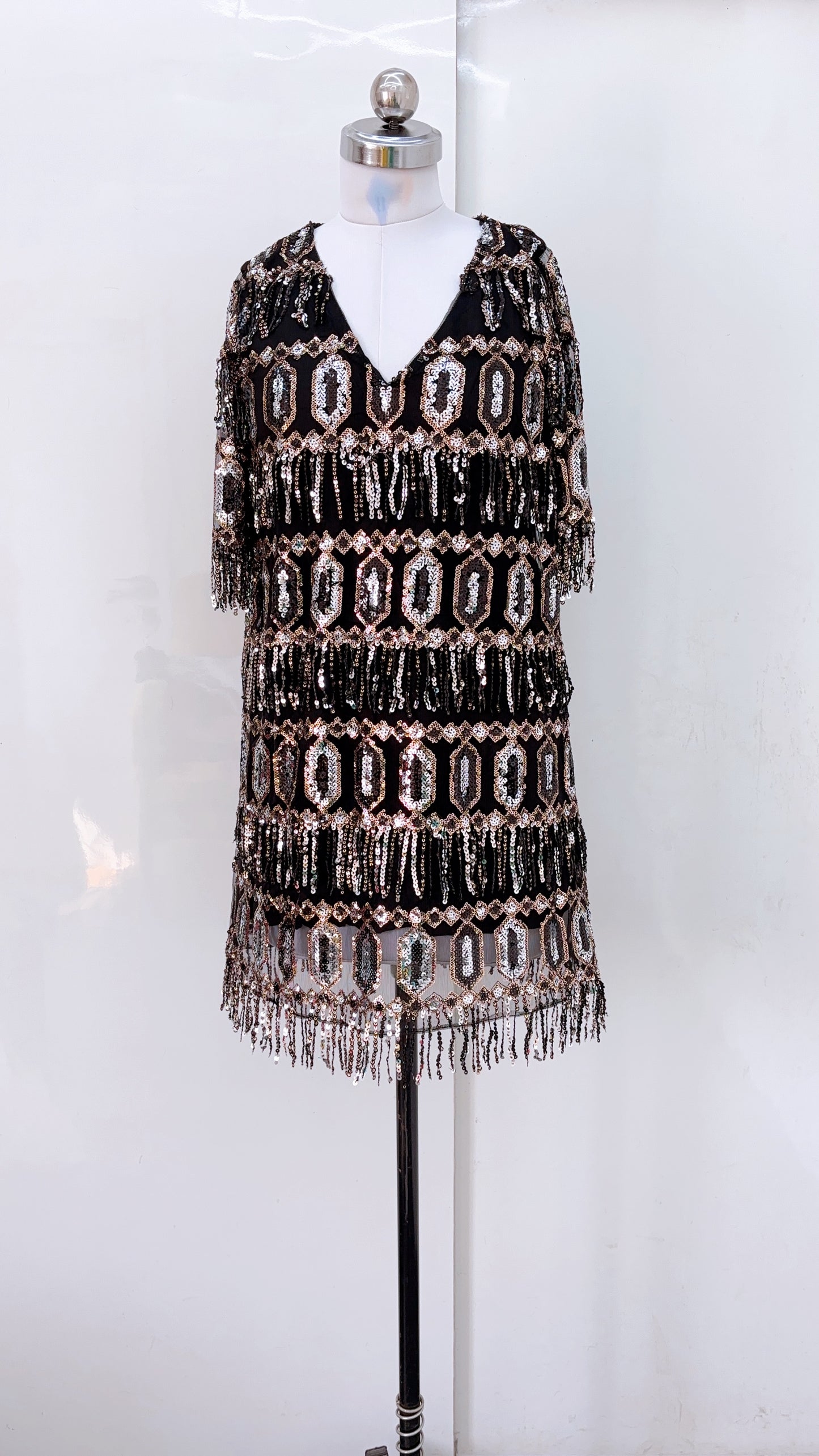 Zara Fringe Sequin Dress