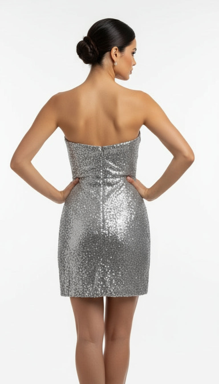 Silver Sequin Dress