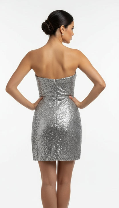 Silver Sequin Dress